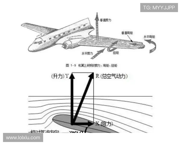 飞机机翼结构件的数控加工补偿
